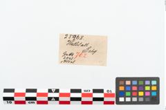 Etikett zu Bronzekahnfibel (NHMW-PRAE-025968)